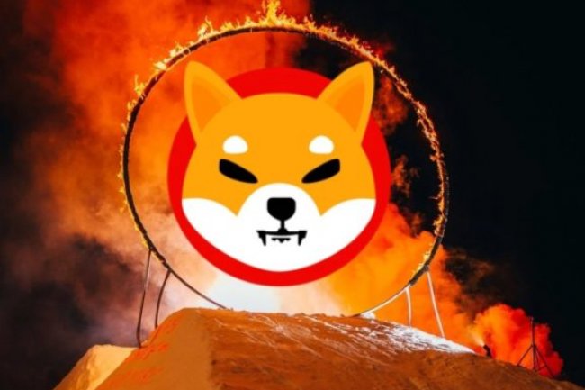 Shiba Inu (SHIB) Cüzdan Sayısı Son 3 Ayın Zirvesinde: Yakım Oranı Yüzde 100 Arttı