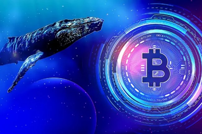 Balinalar Bitcoin Al - Sat Zamanını Nasıl Belirliyor?
