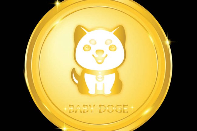 Baby Doge Coin’in (BabyDoge) Beklenen Yeni Projesinin Tarihi Belli Oldu