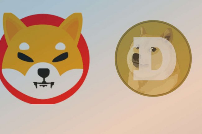 Son Düşüşe Benzettiler: Doge ve Shib Yükselişi Düşüş Sinyali Mi?