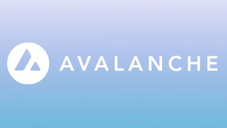Yapı Kredi ve Akbank Avalanche İş Birliklerine Dair Detayları Açıkladı