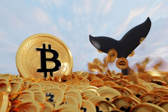 Gizemli Bitcoin (BTC) Balinası 28x Yaptı: 9 Yıllık Bekleyişin Ardından 95 Milyon Dolar Kar