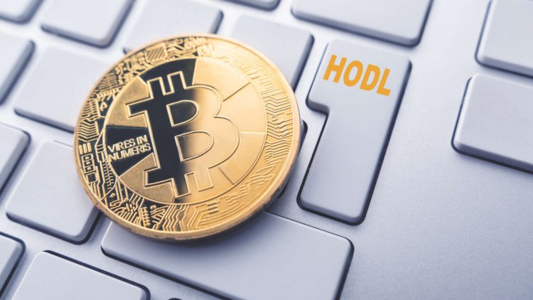“En Az 1 Bitcoin (BTC) Bulunduran Cüzdan Sayısı”nda Yeni Rekor: 900.000 Seviyesini Aştı