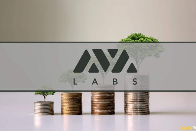 Ava Labs ile Gündeme Gelen Kripto Avukatı Kurucu Ortağı Olduğu Hukuk Şirketinden Ayrıldı