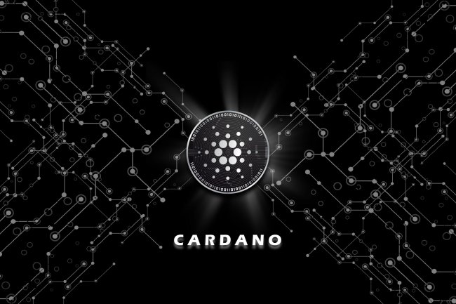 Cardano Tabanlı Altcoin’in Önümüzdeki Hafta Piyasaya Sürülmesi Planlanıyor