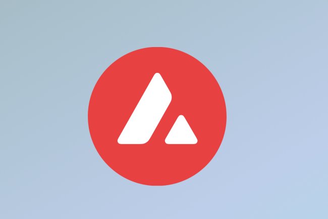 Avalanche Foundation, Türkiye’deki Deprem İçin 1 Milyon Dolar Bağışladı