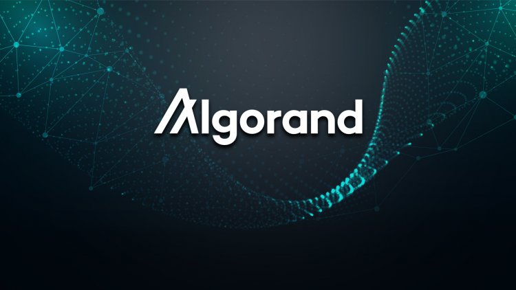 Bu Altcoinin Cüzdan Sağlayıcısında 9.2 Milyonluk Hack: Paranızı Çekin Uyarısı!