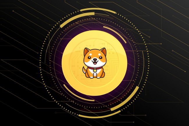 Popüler Meme Token Baby Doge Coin’den Devasa Yakım