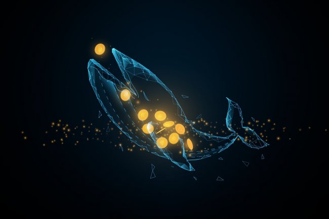 Bu Altcoin’in Balinasından Binance’e Yüklü Transfer