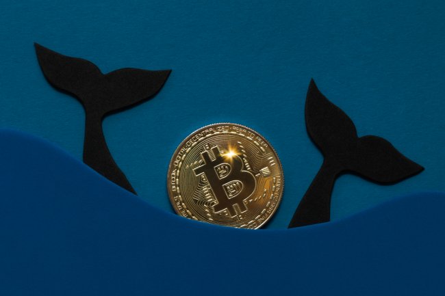 Köklü Borsanın Balinalarından Ani Bitcoin Hamlesi: 330 Milyonluk Long Kapatıldı!