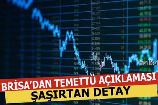 BRISA Temettü Ödemesi Yapacak