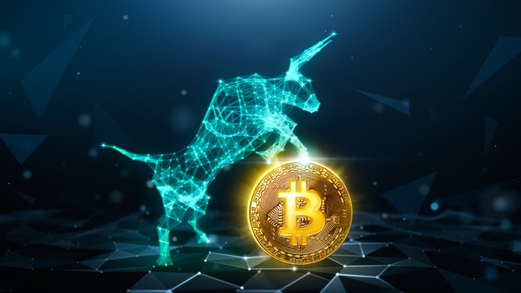 Ünlü Analist Bitcoin Boğası Başladı Dedi, 9 Neden Sıraladı: İşte Sinyaller!
