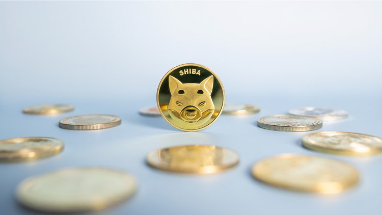 Dev Kripto Para Borsasından 270 Milyonluk Shiba Inu Çıkışı: CEO Açıkladı