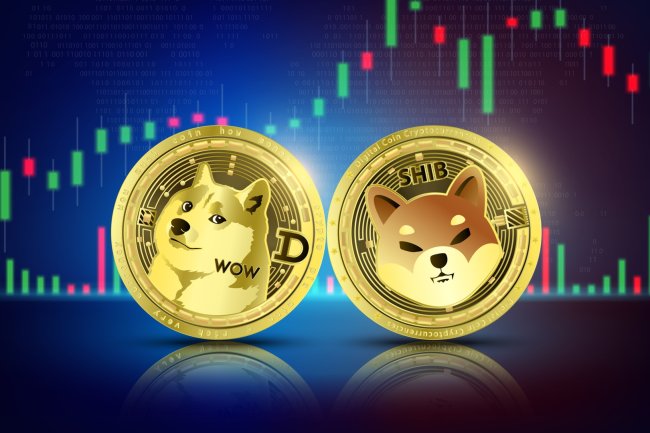 Dogecoin Rallisi ile Shiba Inu da Yükselecek: Popüler Analist Fiyat Hedeflerini Açıkladı!