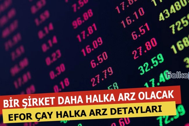 EFOR ÇAY Halka Arz Edecek