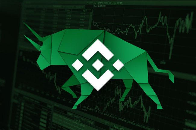 Bitcoin Borsası Binance’den, SHIB ve Bu 3 Altcoin’e Müjde!