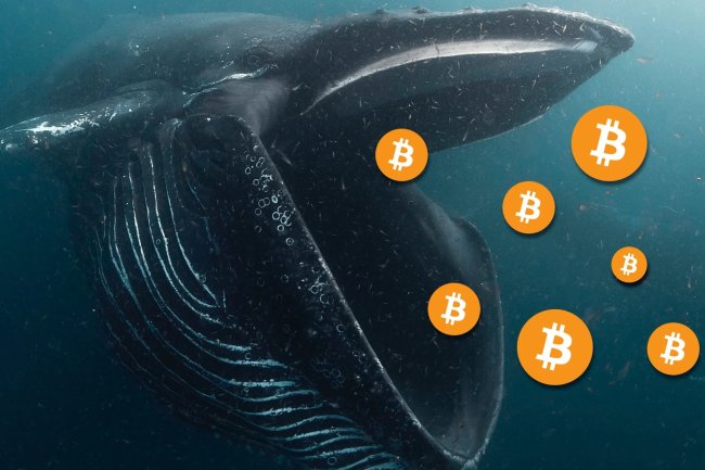 Santiment: Balinalar Son 2 Günde 20 Bin Bitcoin (BTC) Satın Aldı!