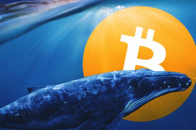 10 Yıllık Bitcoin Balinaları Uyanıyor! BTC Satışı mı Yapacaklar?