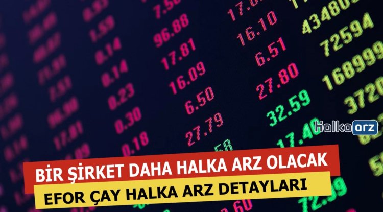 EFOR ÇAY Halka Arz Edecek