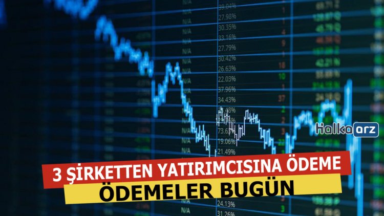 O 3 Şirket Bugün Temettü Ödemesi Yapıyor