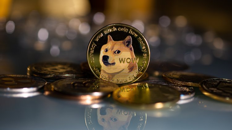 Dogecoin Yükseliş Rüzgarı Kısa Sürdü: Elon Musk ve Twitter’dan Geri Adım