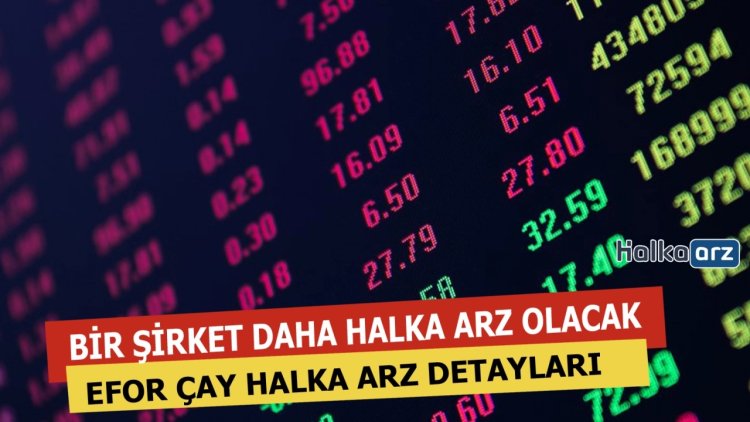 EFOR ÇAY Halka Arz Edecek