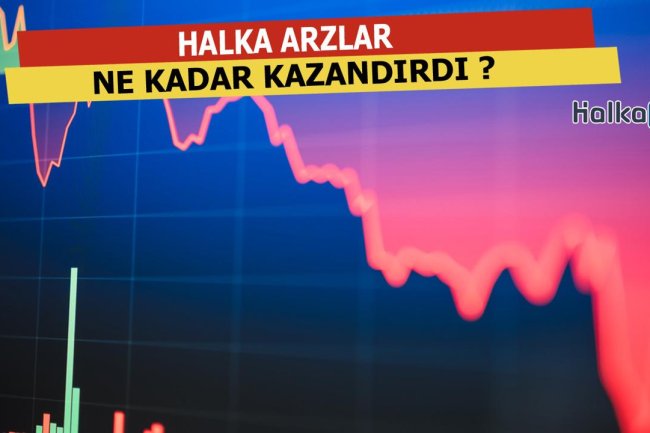 Halka Arzlar Ne Kadar Kazandırdı ?