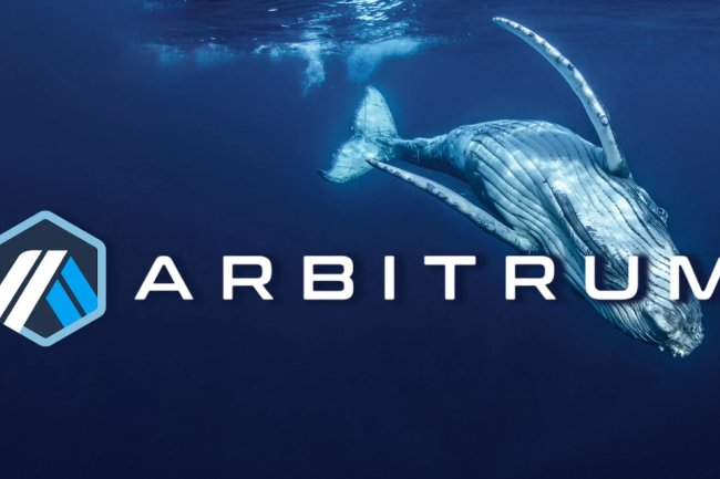 Balinalar Bitcoin Düşse de, Binance’deki Bu Altcoin’i Satın Alıyor!