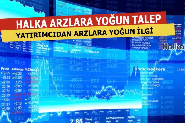 Halka Arzlara Katılım Sayıları Zirvede