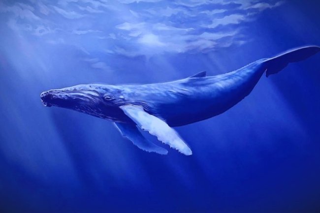 3 Balina Ethereum (ETH) Satıp, Binance’deki Bu Altcoin’i Satın Aldı!