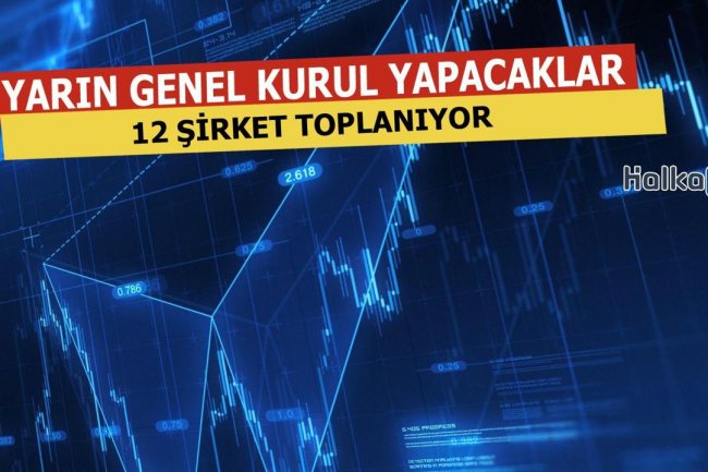 Yarın 12 Şirket Genel Kurul Yapacak