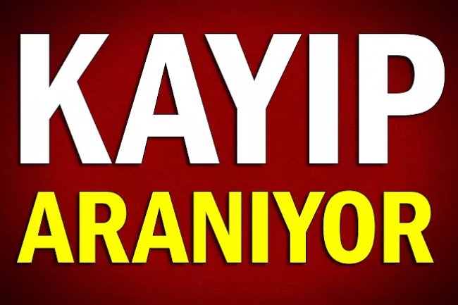 Binance’deki Bu Altcoin’in CEO’sundan Haber Alınamıyor!