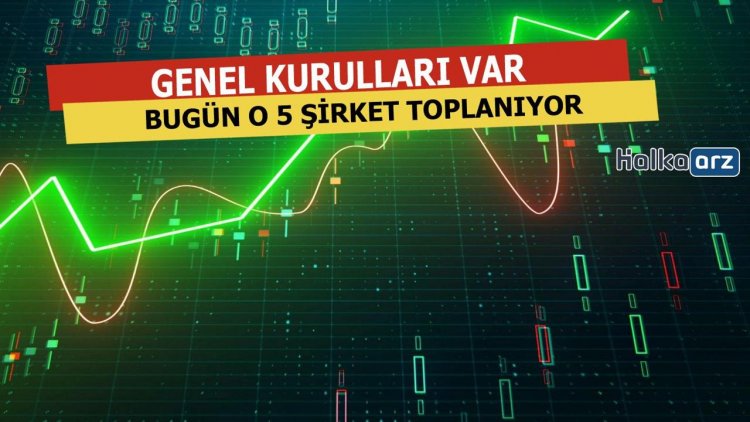 Bugün 5 Şirket Toplanıyor