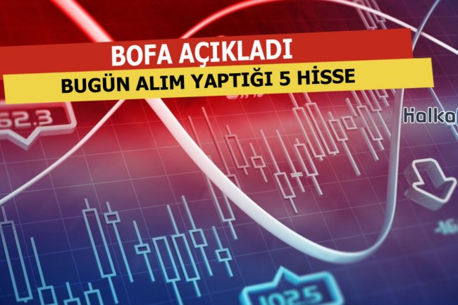 BofA'nın Bugün Alım Yaptığı 5 Hisse