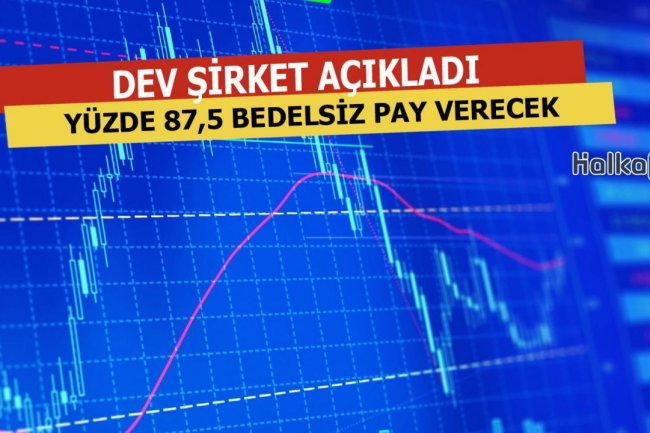 Dev Şirket Yüzde 87,5 Bedelsiz Pay Verecek