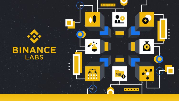 Binance Labs, Bu Projeye Yatırım Yaptı! Fırsat mı Var?