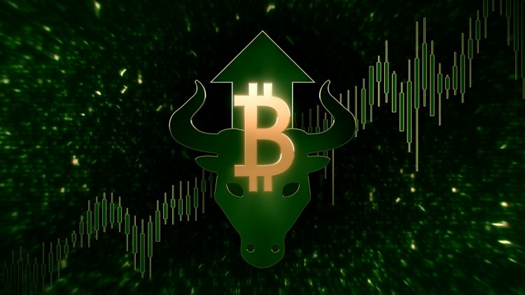 Bitcoin ve Ethereum, Son Yükselişleriyle Herkese Meydan Okuyor!