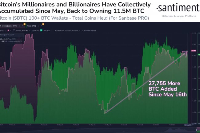 Santiment: Büyük Yatırımcılar Hala Bitcoin (BTC) Topluyor!