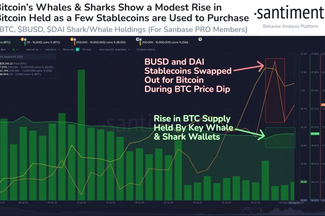Santiment: Bu Olursa Bitcoin (BTC) Hızlı Bir Yükseliş Yaşayabilir!