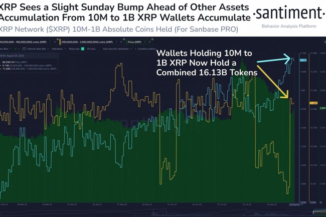 Ripple, Bitcoin ile Birlikte Çöktü, Balinalar XRP Toplamaya Başladı!