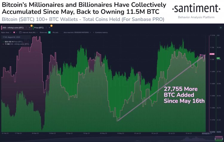 Santiment: Büyük Yatırımcılar Hala Bitcoin (BTC) Topluyor!