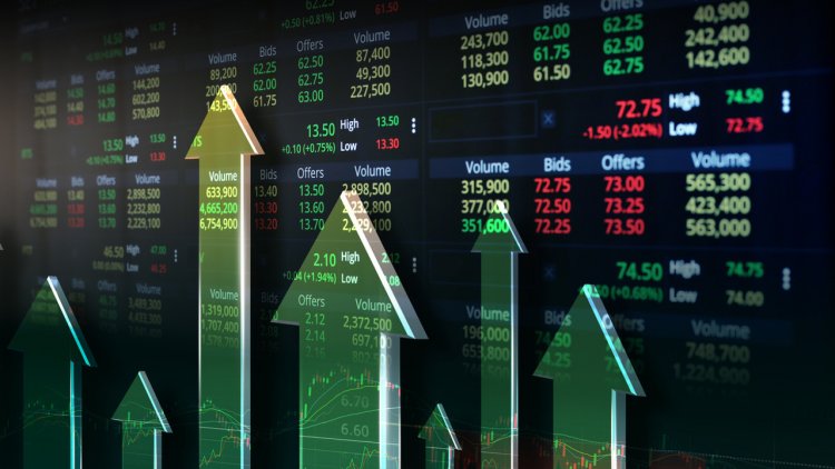 Yüzde 9169 Kar Payı Ödemesi Ne Zaman?