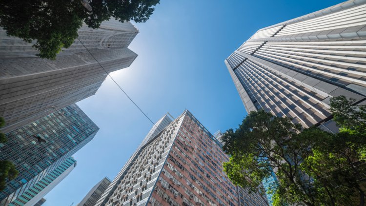 Pasifik GYO Bedelsizinin Tarihi Belli Oldu