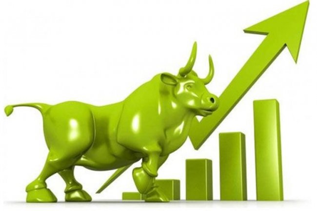 Bitcoin Cash (BCH) Ayılara Meydan Okuyor