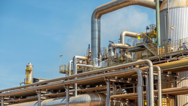 KTSKR, Pancar Üreticilerine Avans Ödüyor