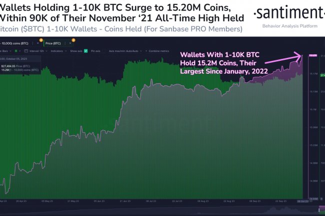 Balinalar Son 6 Haftada 71.155 Adet Bitcoin (BTC) Satın Aldı!