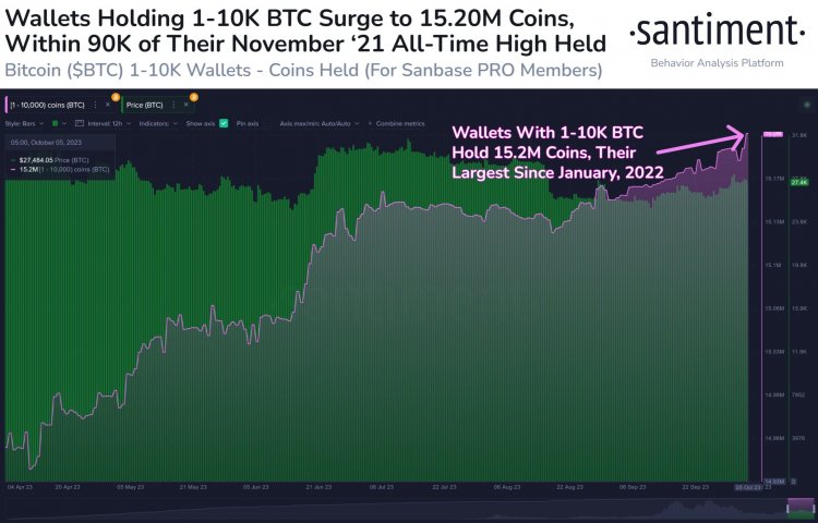 Balinalar Son 6 Haftada 71.155 Adet Bitcoin (BTC) Satın Aldı!