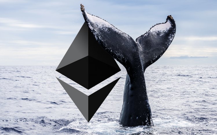 Ethereum’dan 2 Milyon Dolar Kazanan Balina, Şimdi Bu Altcoin’i Topluyor!