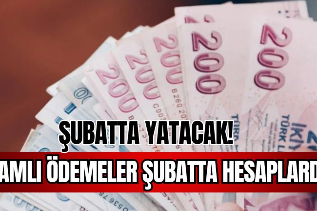 Zamlı Ödemeler Şubatta Hesaplara Yatacak!