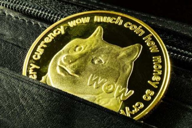 Dogecoin Vakfı, Resmi Bir DOGE Rezervi Kurup Satın Alımlara Başladı!